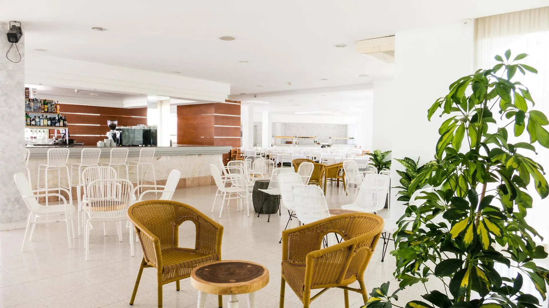Apart Millor Garden Apartment Cala Bona  0*, Cala Bona (Mallorca)